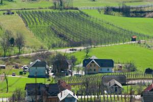 Vinogradniška kmetija Malnarič, foto Zvone Butala